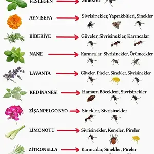 '{Category}' kategorisindeki 'inbound977325608870179052.webp' medyası